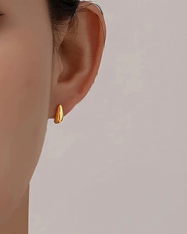 ミニピアス ゴールド シルバー サージカルステンレス